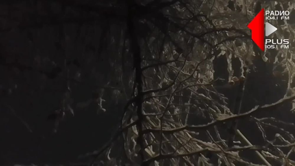 ������� ����� ��������