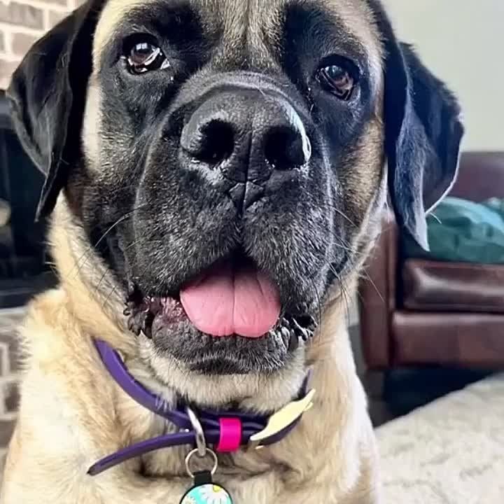 ������� ������ �������, ���������� �� ����� ����� � ������� ��� ����� ��� ���������� ����� � ����