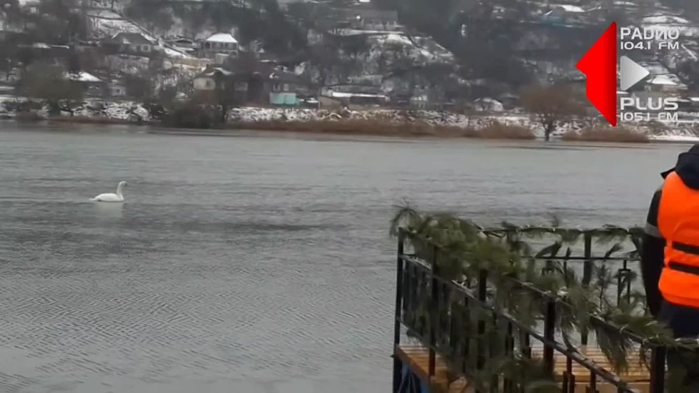 � ��� ����� �������� �� ���� ������������ ������