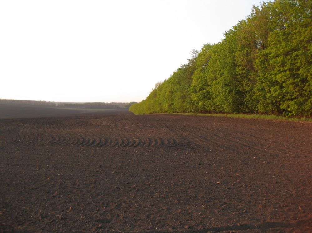 ����� 2023 ����.. ������������ �������� ������ ���������� �� ������ ����������������� � 2023�. ����������������� ���...