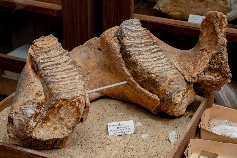 ��������������� ����� �������� � ������� �» ���������������� ���������������