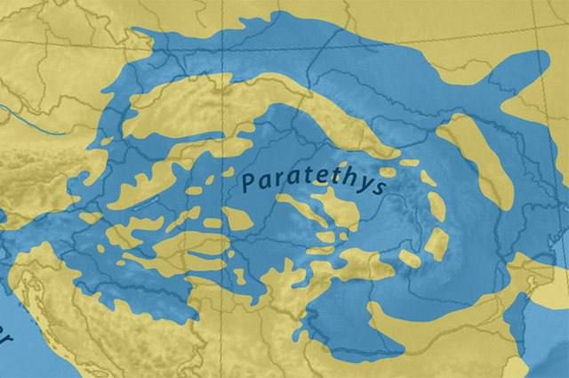 � ����� �������� �������� �������� ����� ������� ����� � ������� �����