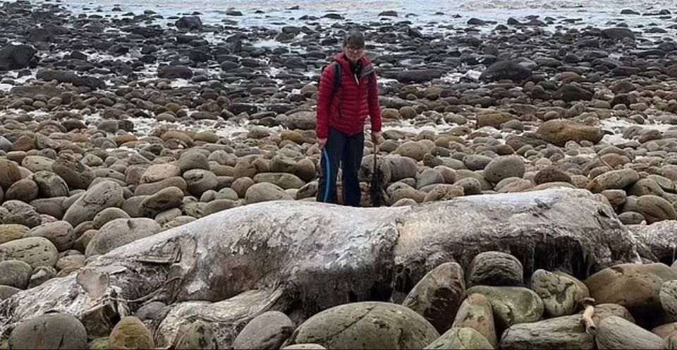 ������������ ������� �������� ������� �� ����� � ��������������