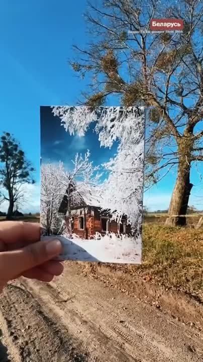 ���� ������ � ������������ ���������� ������� �������� �������� �� ��������