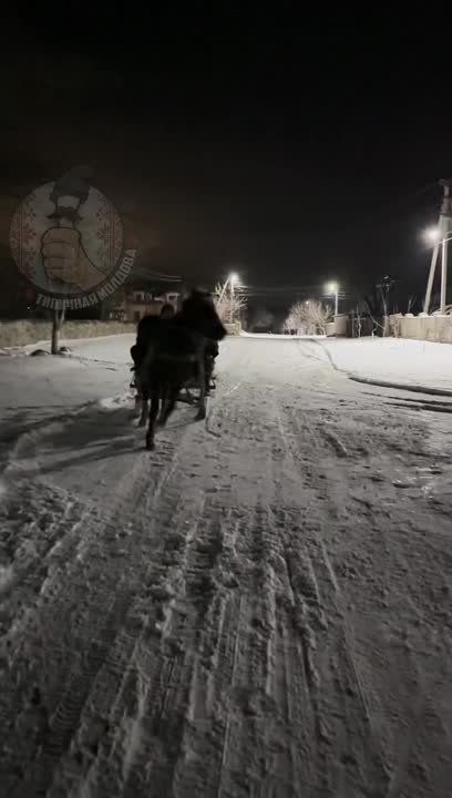 ���������� �����