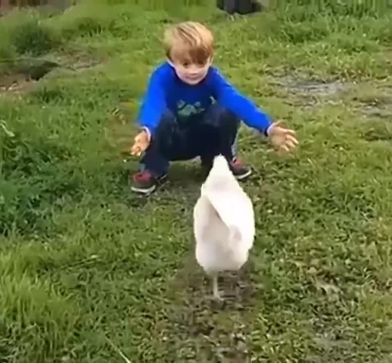 ������� ���� �������. � ���� ���� ���� ���������� ������ ��� ���� � ������������