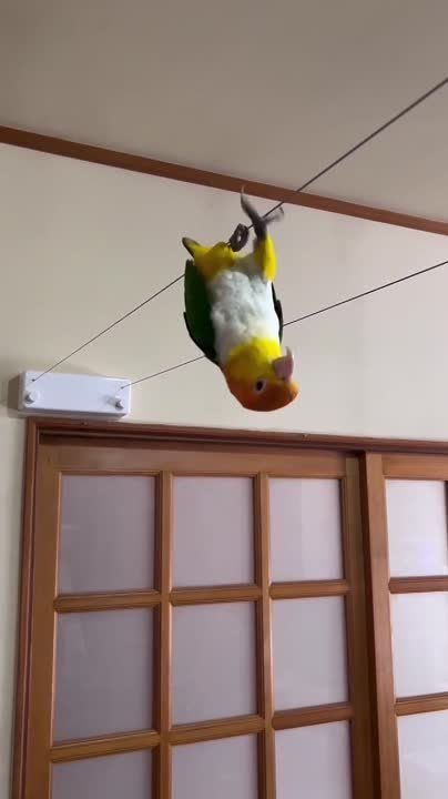 ���������