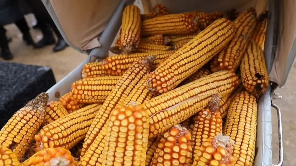 � ��� �����? ����� � �������� ��� � ������ ��������? � ���� �����