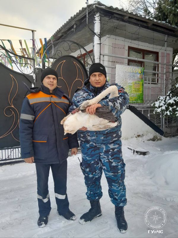 ������ ������. � ��� , ��� ����� ��������� ������, 20 ������ ���������� �������� ���������� ������ ���������������� ������ � ����� ������������ ���