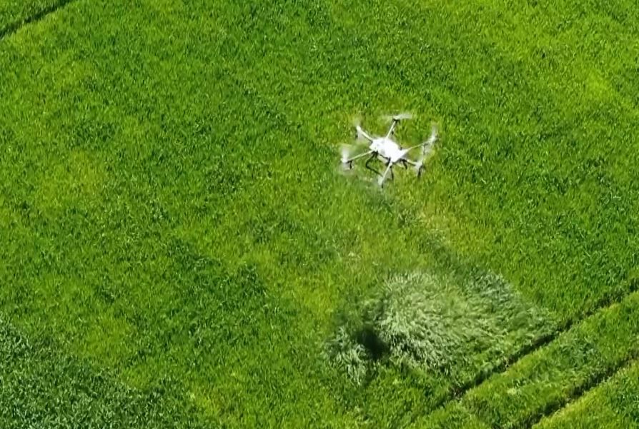 ����� �������������� ������� ����������������� ��� � 2024 ���� ������������ ���� � �������� ������ �� ������������ ��������� ����������� ���������� � ����������� �������������� ������������ ����� � �������� (������� ����������� ����������� ��������):