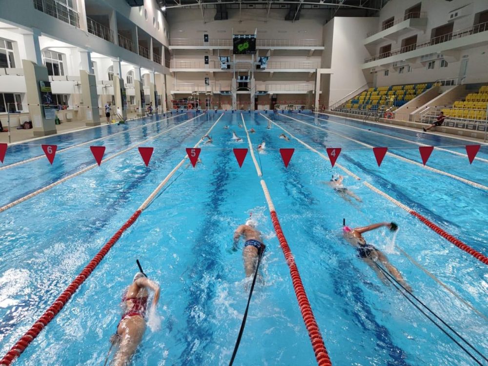 ������ ����������� �������� ���� ������ ����������� � 50-�������� �������� �������������� �������