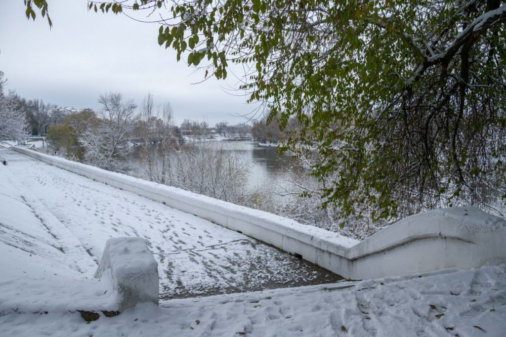 ��������� ����� � �������, �� �������� � ���� ������ ����