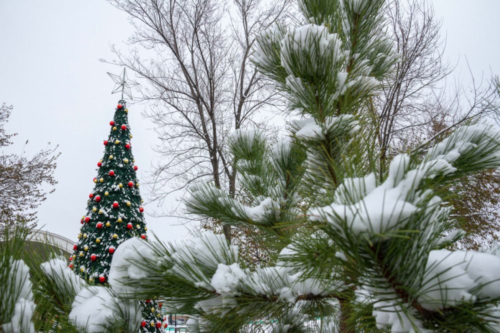 ���, ��� �����, ������ ��������� ������ ����, ���� �� �����