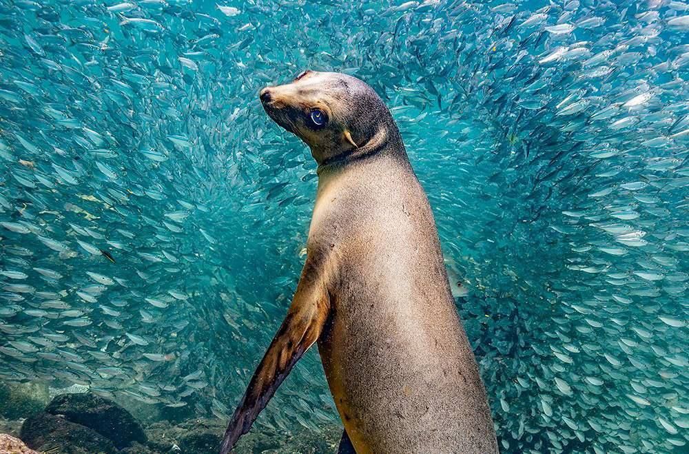 ������� ���������� �������������� ������������ ����� ������� 2023