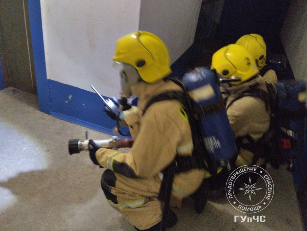 ������ ��������. �������-����������� ������� ������ � �������. ��������� ������� �� ������ �������� ��������� ����-3 ���������� �������� ���������� � ����� �� ������� ������������� ����