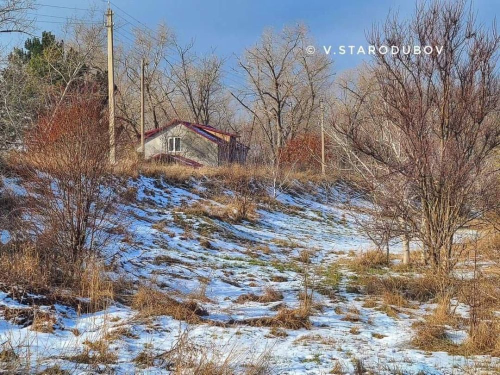 ���������. � �����. ��������