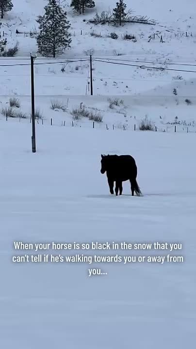 ��������� ��������-�������: ��� � � ������ � �����/����� �������, ������������ ����������� �� ��� ������