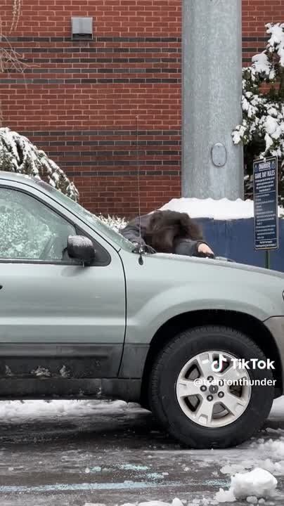 ���� �� ���������� ��������������, ��� ���� � ���� ���