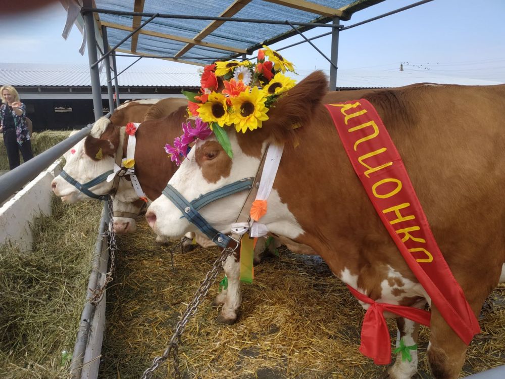 � ������ ���� ���, �������� ���������� � ��������� ������� � ��� �� ���������� ���� ���������: