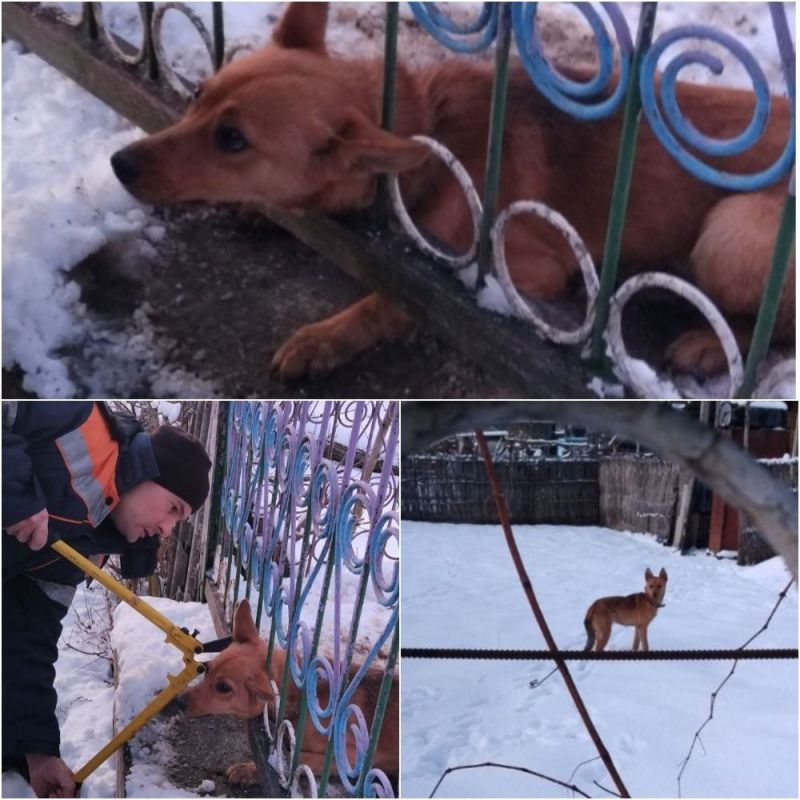 ������� � ������������� � �������