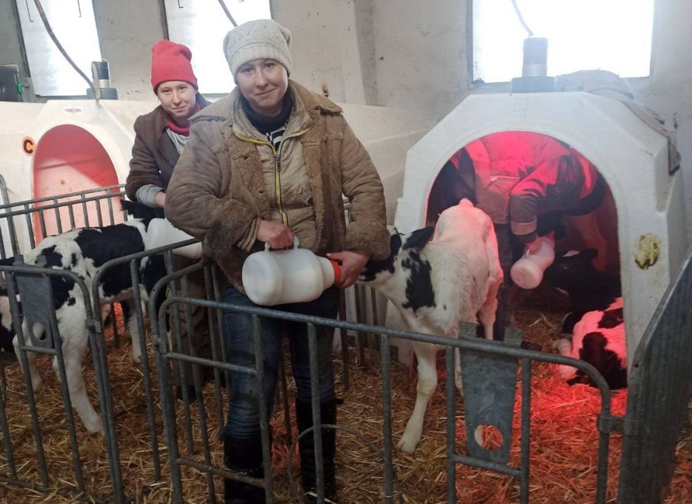 ��������� �������-�������� ���� ���������� ������