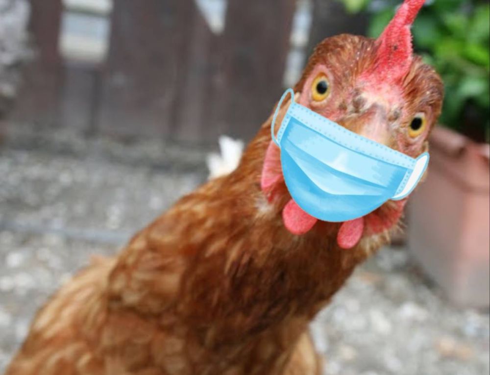 �� ������ � ������� ���������������� ��� 8 ������� �������� ������