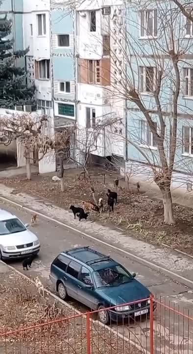 ��� �����: ���� ������� ���. ����� ����� ������ � ������ �� ���� �� ������. ����������������� ������������ �������� �� ������� ���������� ���������� ��� ������. � ��� ������? �������� �����������