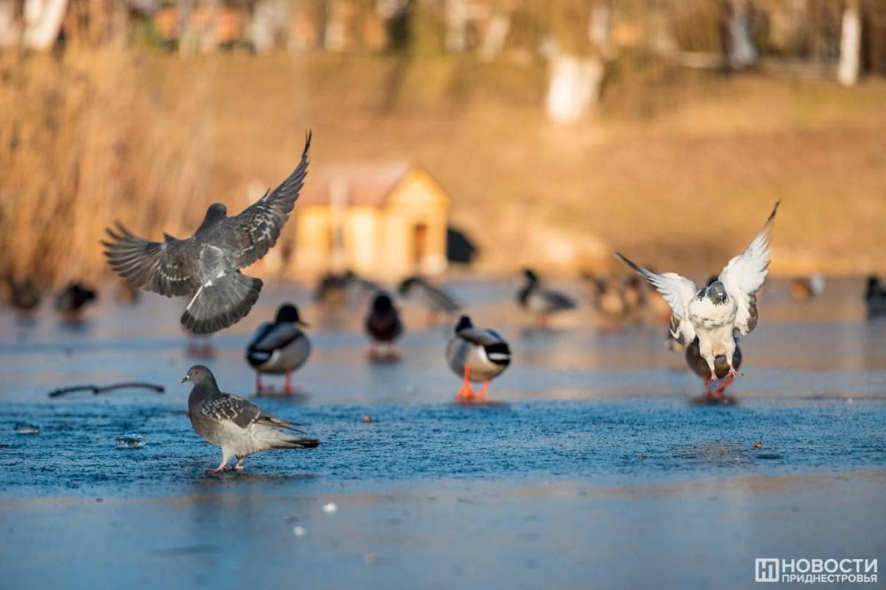 �� ��������� ������ ��� ����� ���� �������� ������