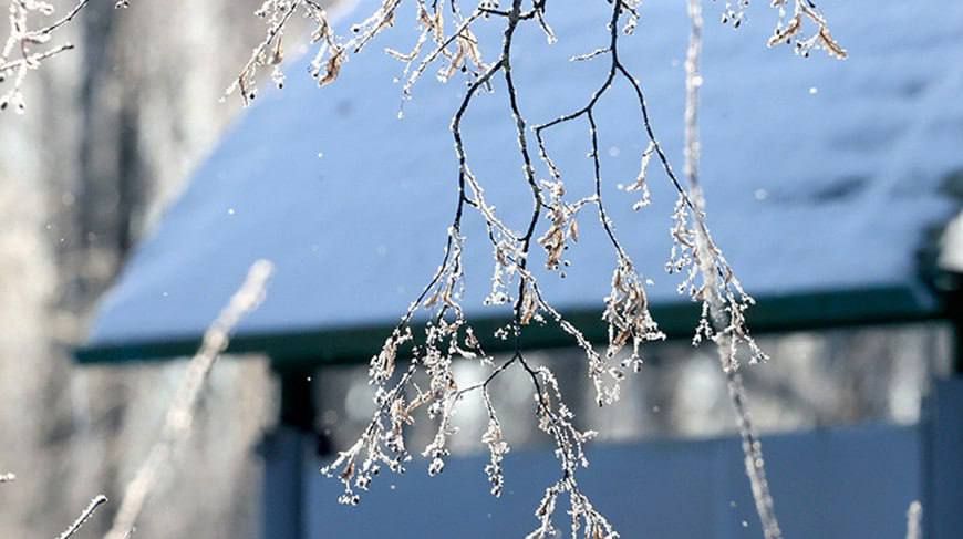 ������� ������ �� �������������� �� ��������� ������: