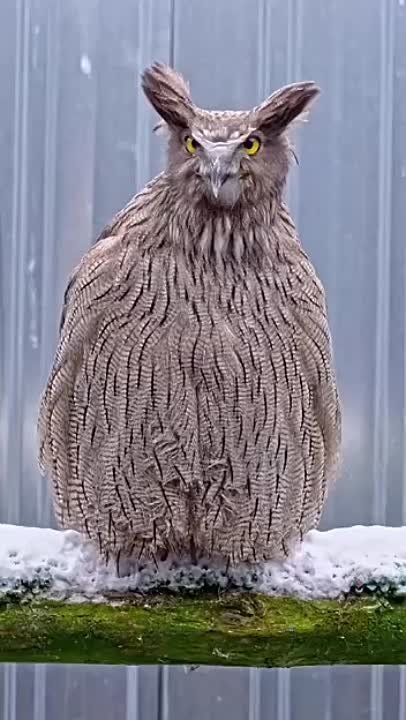 �������� ������� ������ �������� � ���������� ��������