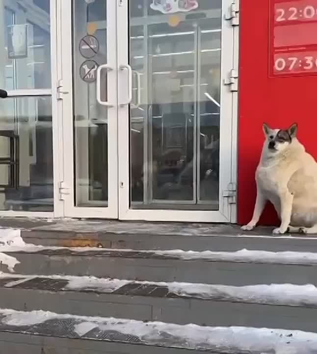 ���� �� ������?�