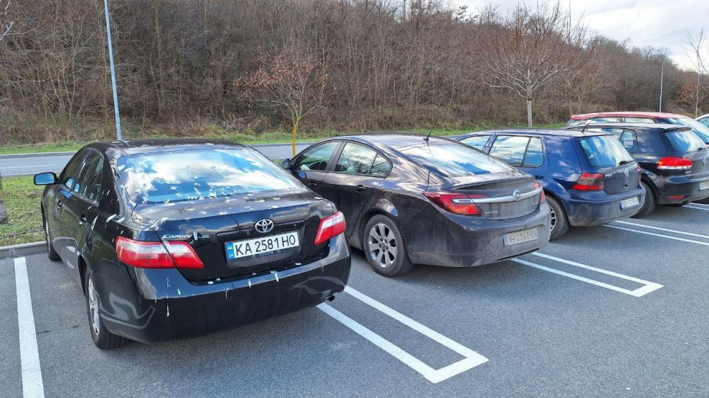 � ������ ���� ����� ����� ���� ����� �����....)