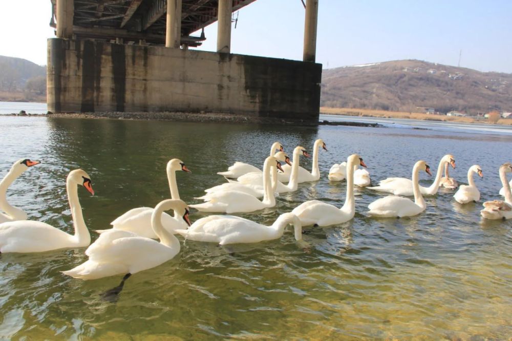 ������ � �������.. ���� ����������