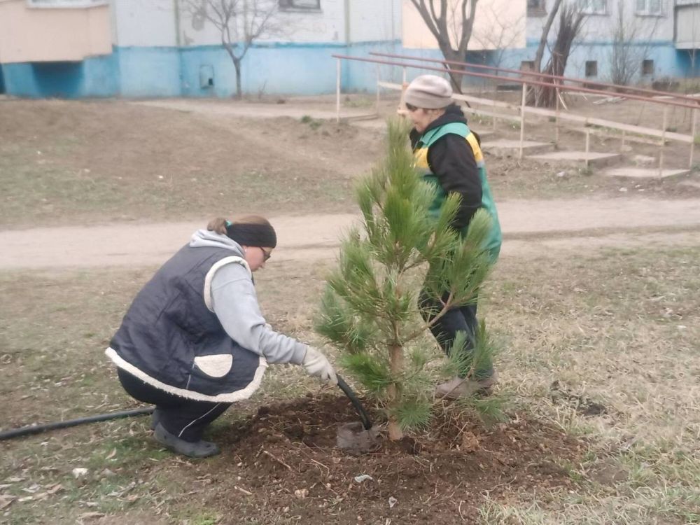 ��������������� ����� �������� � ���������� � �������� �������������� �����