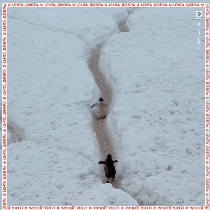 �������, ���-�� ����� ��� ��� ������ �������� �����