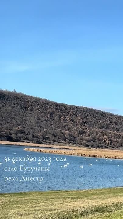 ����� �������� ��������. ����� � ������ �������, ��� ��������� �����