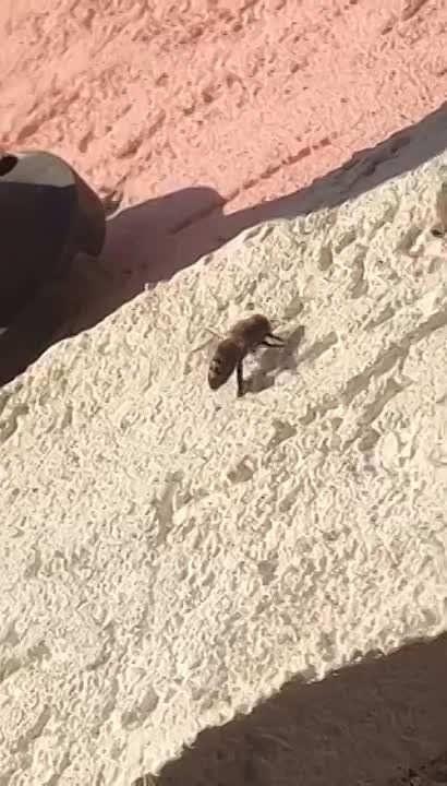 30 ������, ������, � �������� ���������� �����