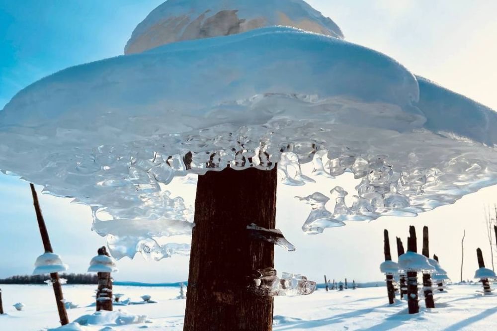 �������� ��� �������� � ���������