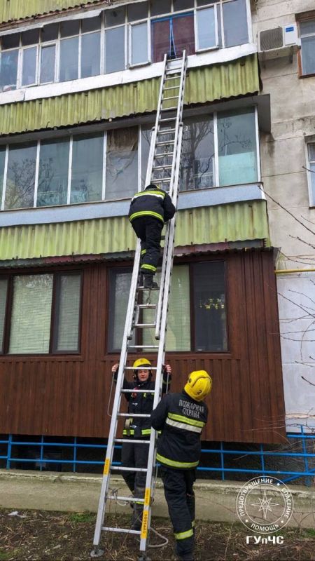 ���������� ������� ����� ���� �� �������