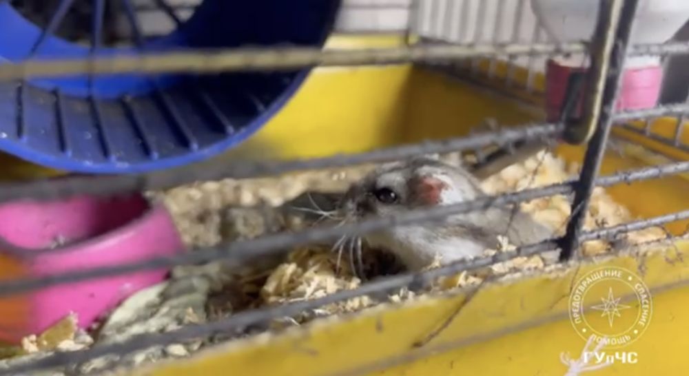 � ��������� �������� ����� ����� ��� ������ � ��������, ��� ���� ������ ��������