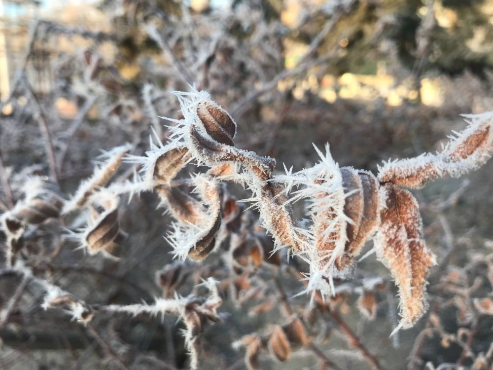 ������� �������� ������� ����� ��������