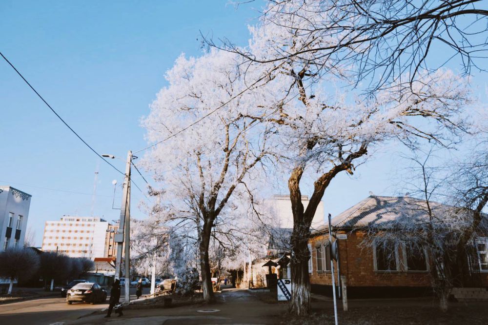 ��� ������� ��������� ������ ������ ��� � �����