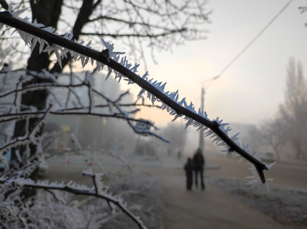 ��� ����� ��������������� ��������