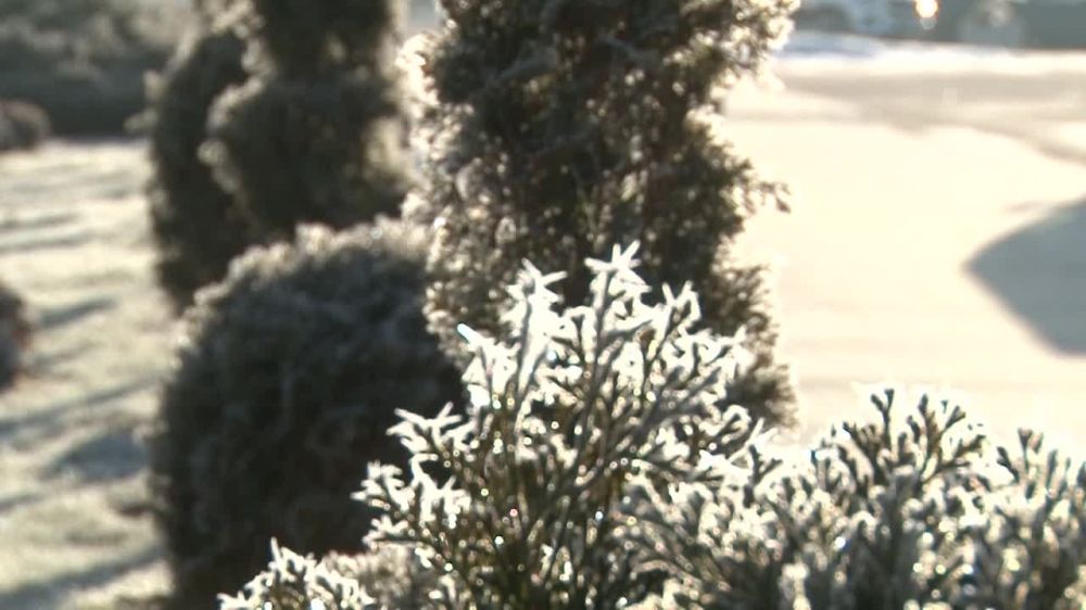 ������� ������� ������� ��, ����� ������ ���� ����������� �������