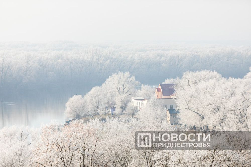 �������� ���� ����� �� ������