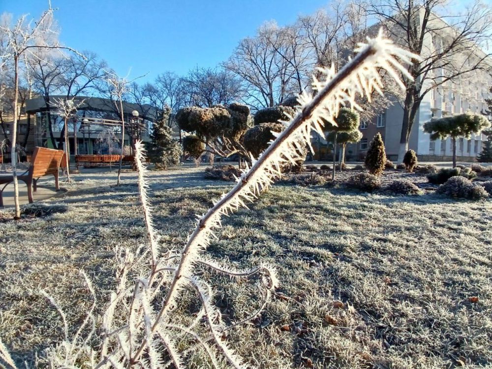 ��������� ���� ������ ���������� ������ �������