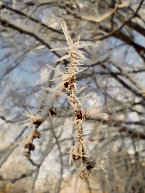 �������� �������