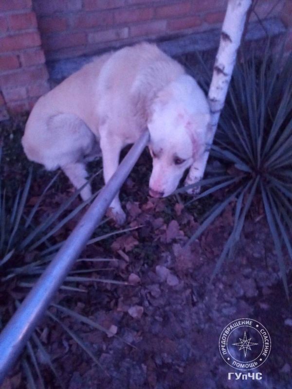 ������ ��������� �� ������