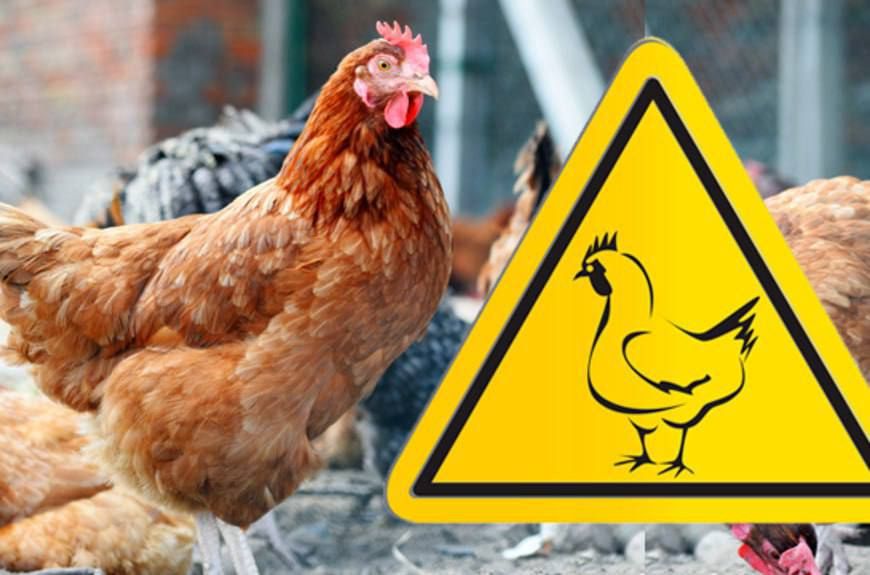 � 37 ���������� ������� ������� � ������ �����