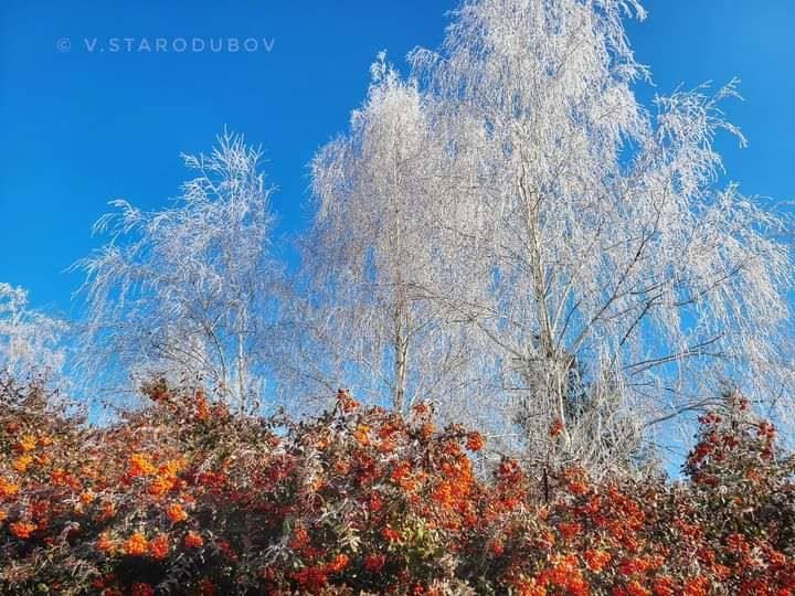 ��������� ������� �����. ����� � ����